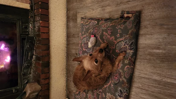 Super super