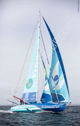 IMOCA Groupe Dubreuil 2 - French bee (2)