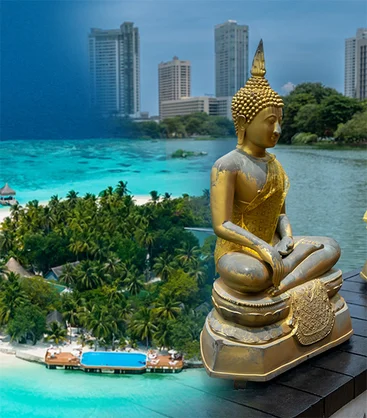 actu-min-1070x1220-nouvelles-destinations-FrenchBee-demi.jpg