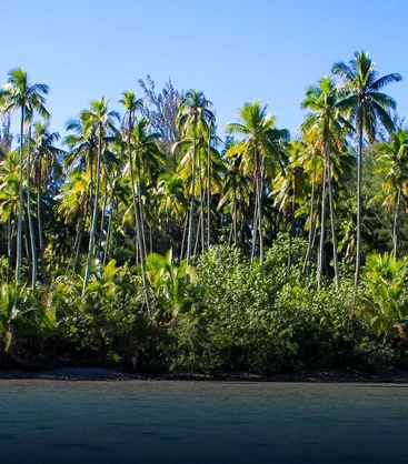 actu-min-1070x1220-polynesie-demi-min.jpg