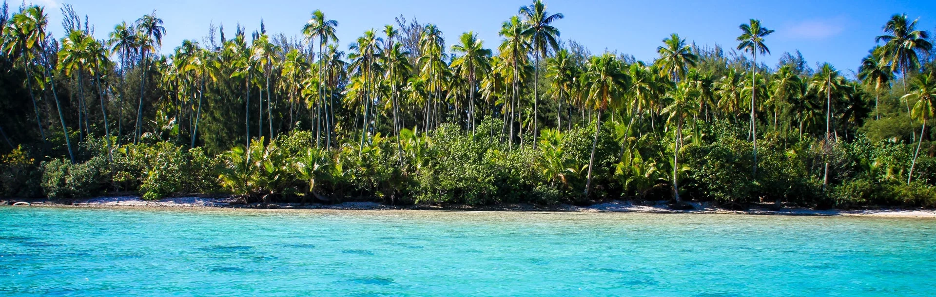 actu-header-3840x1220-polynesie-demi-min.jpg