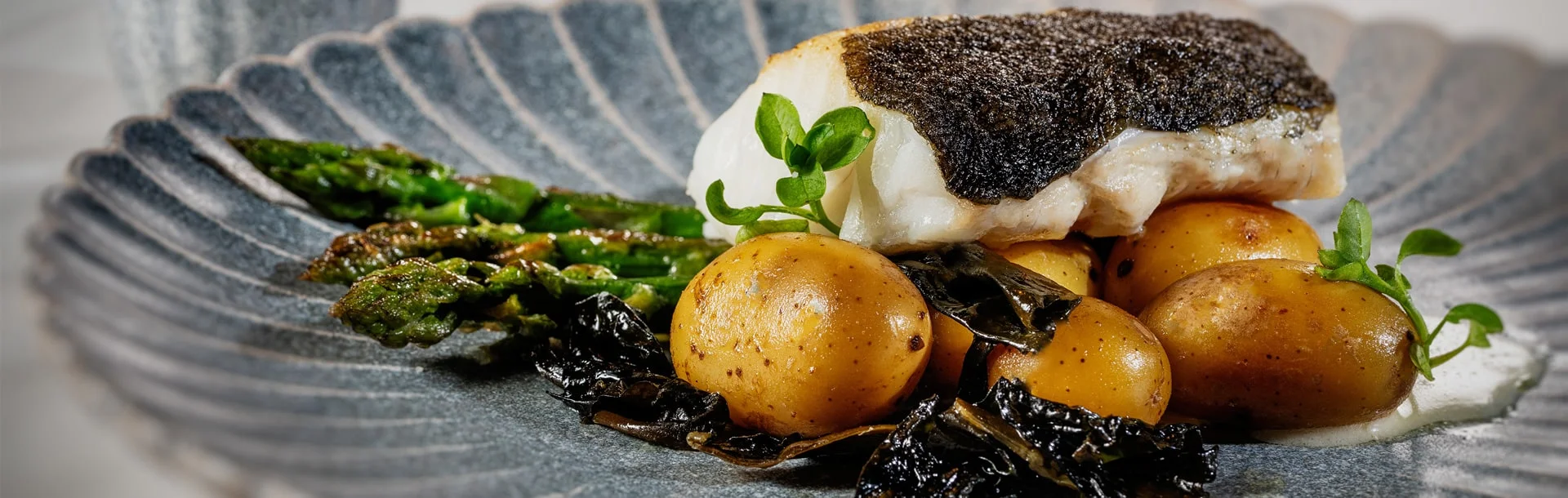 actu-slider-2-3840x1220-nouveau-bistro-yonnais-plats-demi-min.jpg