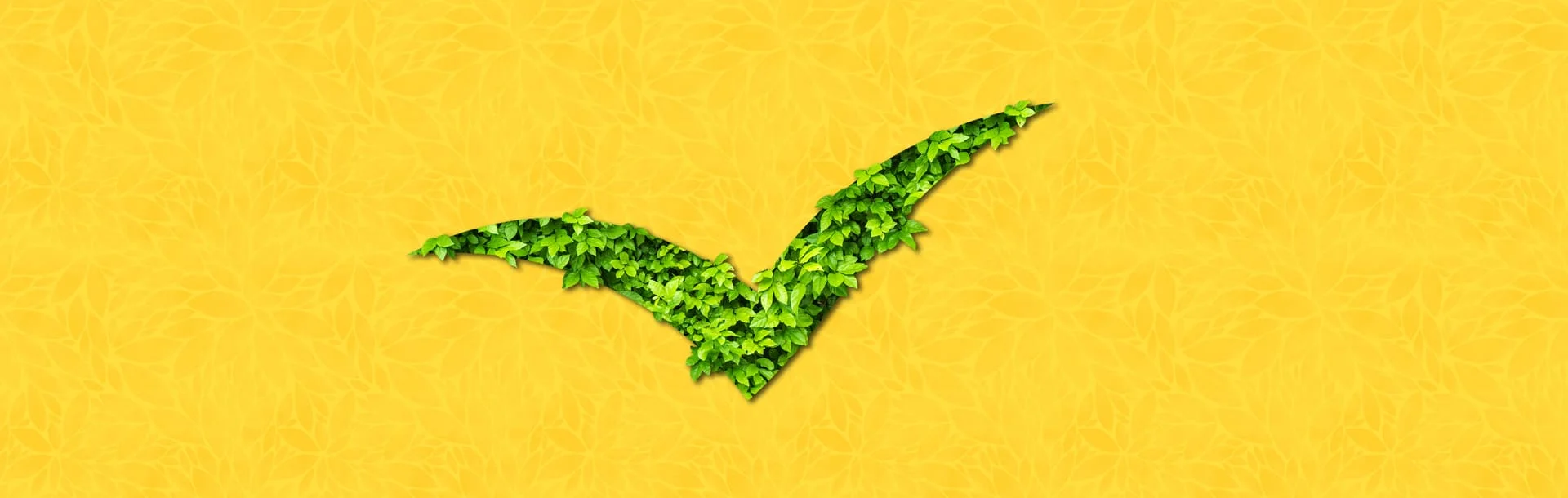 header-esp-collab-ecogestes-3840x1220-demi-min.jpg