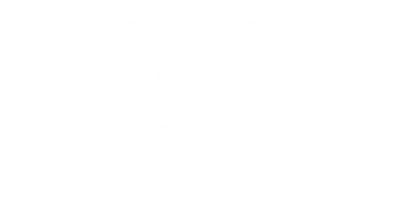 logo-gonnin-blanc-400x200px.png