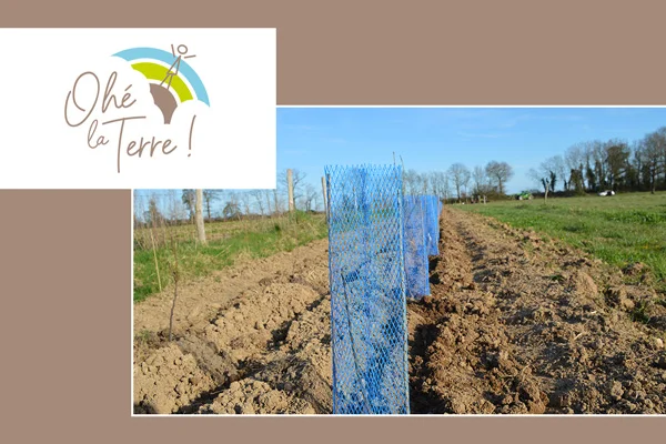 visuel-rse-empreinte-societe-asso-ohelaterre-1200x800-demi.jpg