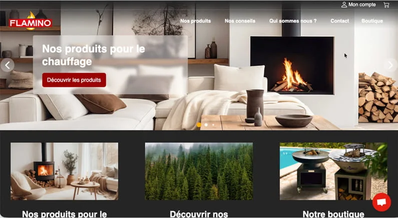 visuel-site-web-fililale-flamino-1590x870-demi-min.jpg