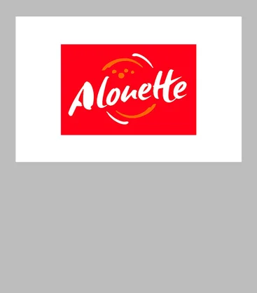 visuel-mediaroom-vupresse-alouette-1070x1220-demi.jpg