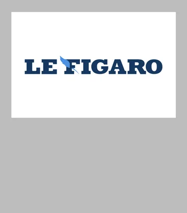 visuel-mediaroom-vupresse-LeFigaro-1070x1220-demi