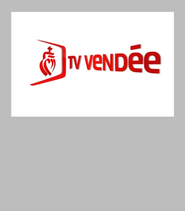 visuel-mediaroom-vupresse-TVVendee-1070x1220-demi