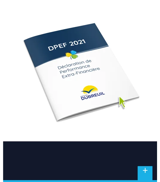 visuels-rse-nosengagements-dpef2021-1070x1220-demi.png